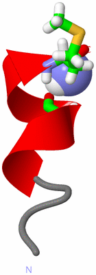 Image NMR Structure - model 1, sites