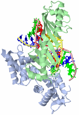 Image Biological Unit 1