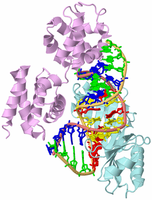 Image Biological Unit 2