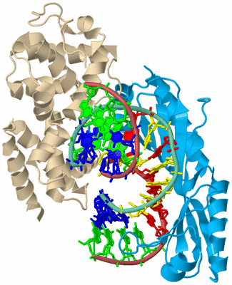 Image Biological Unit 3