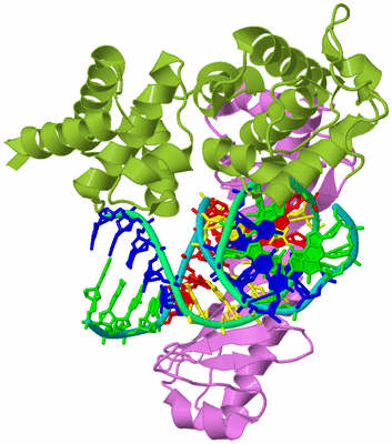 Image Biological Unit 4