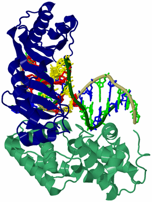 Image Biological Unit 5