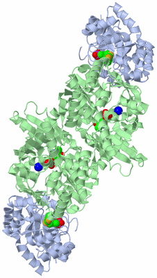 Image Biological Unit 1