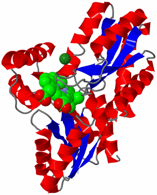 Image Asym./Biol. Unit