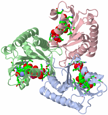 Image Asym./Biol. Unit - sites