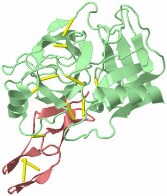 Image Biological Unit 2