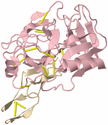 Image Biological Unit 3