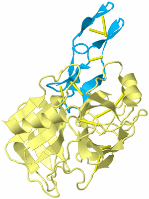 Image Biological Unit 4