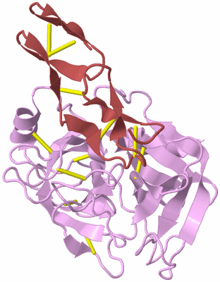 Image Biological Unit 5