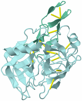 Image Biological Unit 6