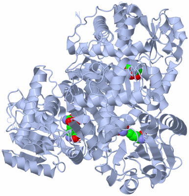 Image Biological Unit 1