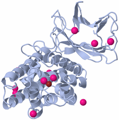 Image Biological Unit 1