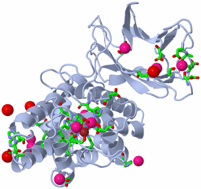 Image Biol. Unit 1 - sites