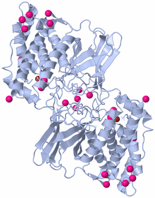 Image Biological Unit 2