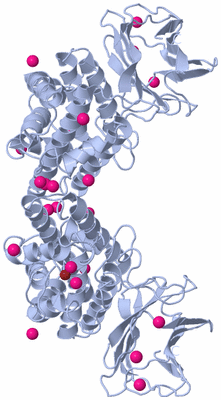 Image Biological Unit 3