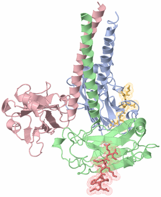 Image Biological Unit 1