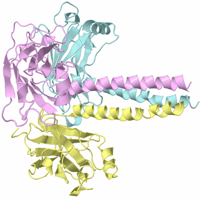 Image Biological Unit 2