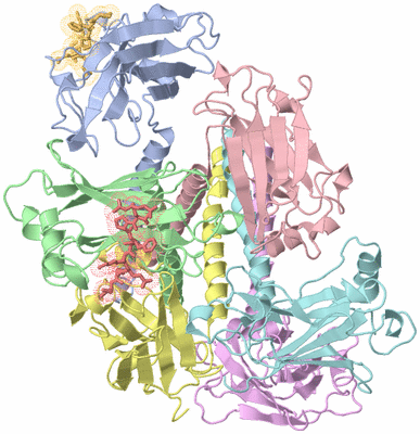 Image Biological Unit 3