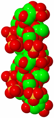 Image Asymmetric Unit