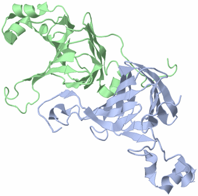 Image Asymmetric Unit