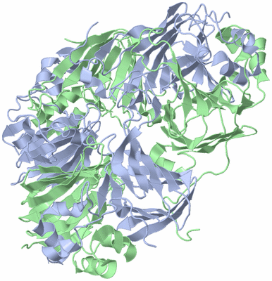 Image Biological Unit 1