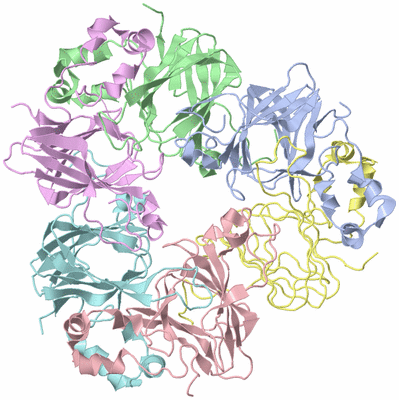 Image Asym./Biol. Unit