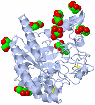 Image Biological Unit 1