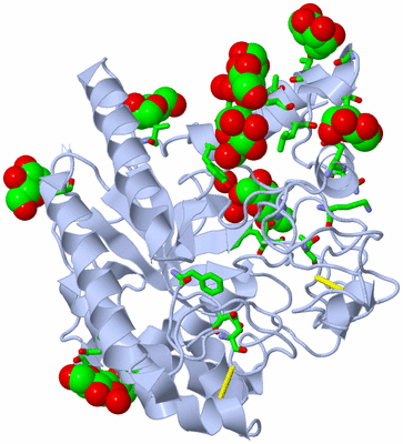 Image Biol. Unit 1 - sites