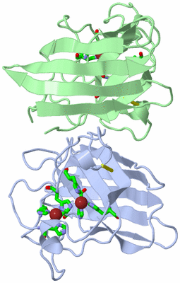 Image Asym./Biol. Unit - sites