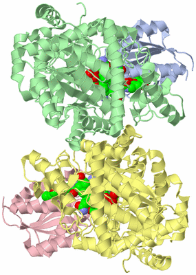 Image Asym./Biol. Unit