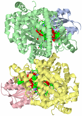 Image Asym./Biol. Unit - sites