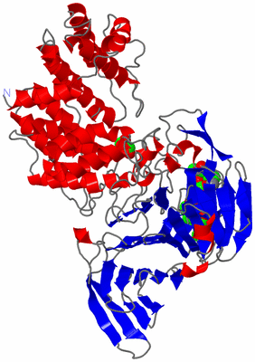 Image Asym./Biol. Unit