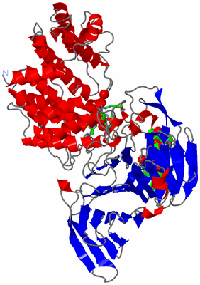 Image Asym./Biol. Unit - sites