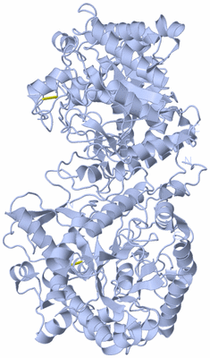 Image Biological Unit 1