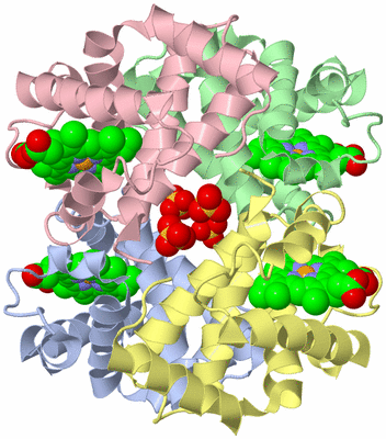 Image Asym./Biol. Unit