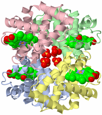 Image Asym./Biol. Unit