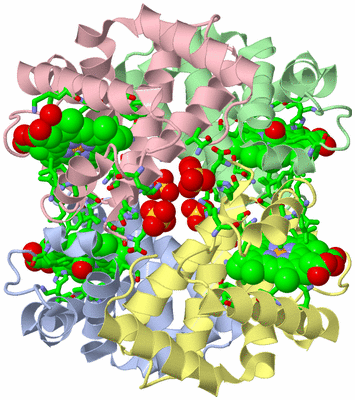 Image Asym./Biol. Unit - sites