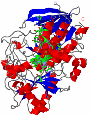 Image Asym./Biol. Unit - sites