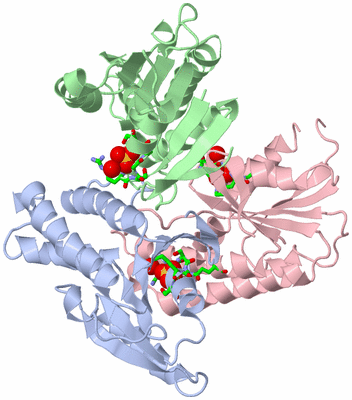 Image Asym./Biol. Unit - sites