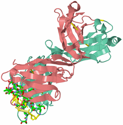 Image Asym./Biol. Unit - sites