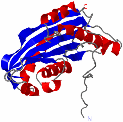 Image Asymmetric Unit