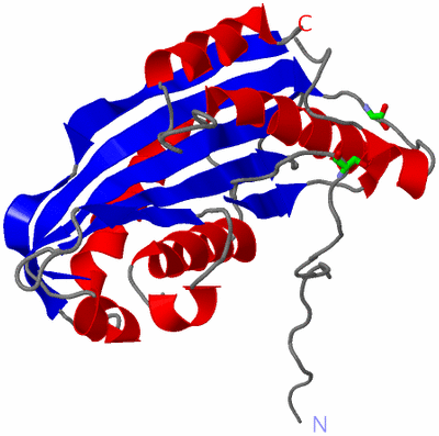 Image Asym. Unit - sites