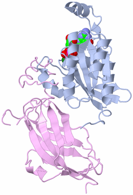 Image Biological Unit 1