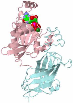 Image Biological Unit 2