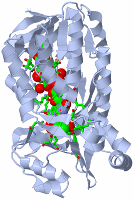 Image Biol. Unit 1 - sites