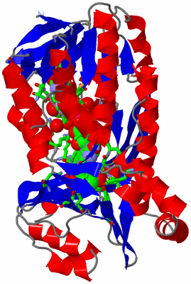 Image Asym. Unit - sites