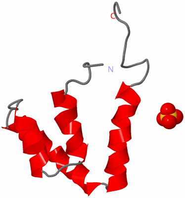 Image Asymmetric Unit