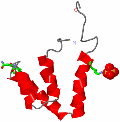 Image Asym. Unit - sites
