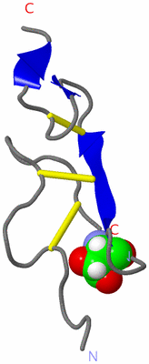 Image NMR Structure - model 1
