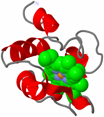 Image NMR Structure - model 1